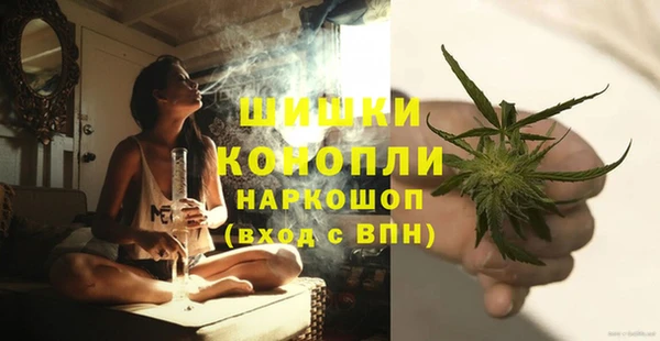 винт Верея