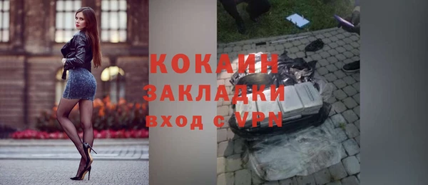винт Верея