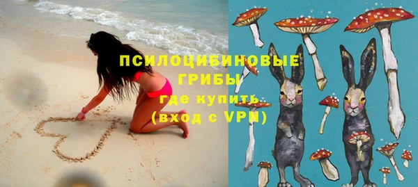 прущие грибы Всеволожск