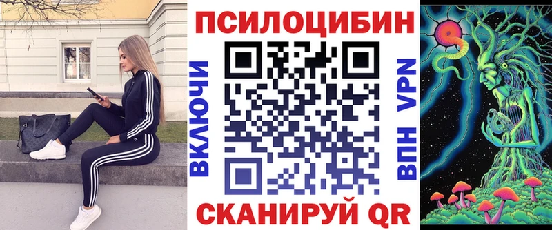 Псилоцибиновые грибы мицелий  Кимовск 